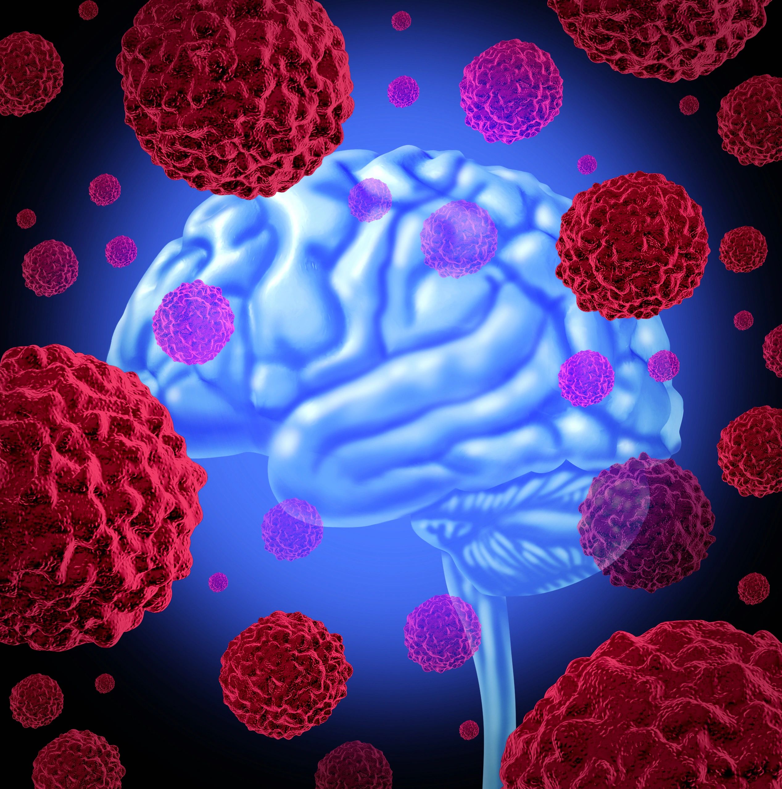 The Immune System And Our Brains